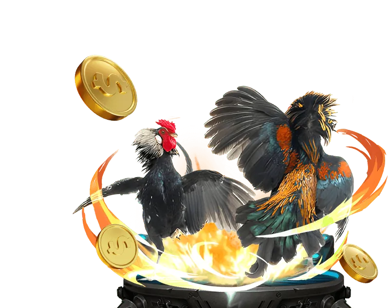 Cá cược Bóng Rổ 01 win55